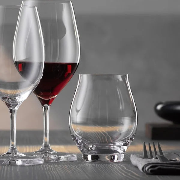 Spiegelau Oslo Multi-Purpose Tumbler Set