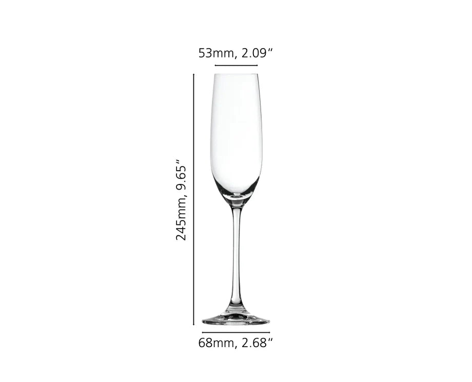 Salute Champagne Flute Set/4
