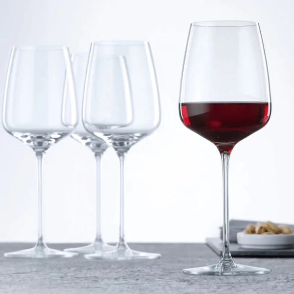 Spiegelau Willsberger Anniversary Red Wine Glasses - Set of 2