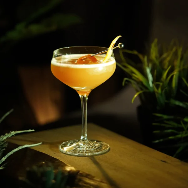 SPIEGELAU Perfect Serve Collection Coupette Glasses – Set of 4