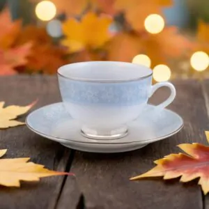 Dankotuwa Pizzi Marlette 12-Piece Premium Porcelain Cup and Saucer Set - Platinum Lining