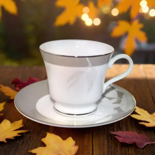 Dankotuwa Asuka 12-Piece Porcelain Cup & Saucer Set - Platinum Lining