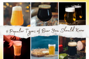 Types of Beer You Should Know