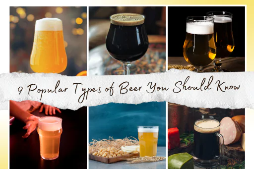 Types of Beer You Should Know